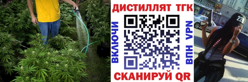 как найти закладки Тобольск ТГК THC oil