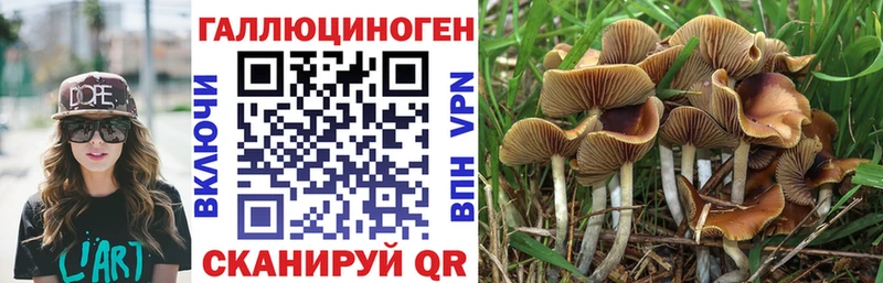 Псилоцибиновые грибы GOLDEN TEACHER  Тобольск 